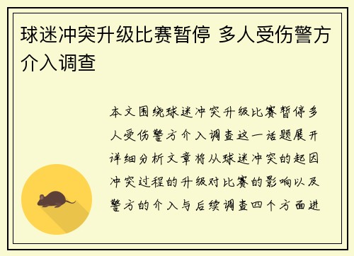 球迷冲突升级比赛暂停 多人受伤警方介入调查