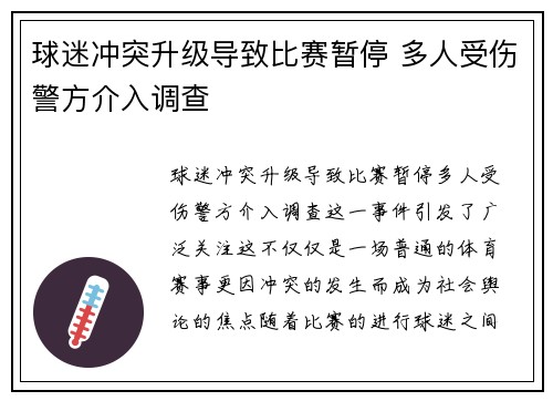 球迷冲突升级导致比赛暂停 多人受伤警方介入调查